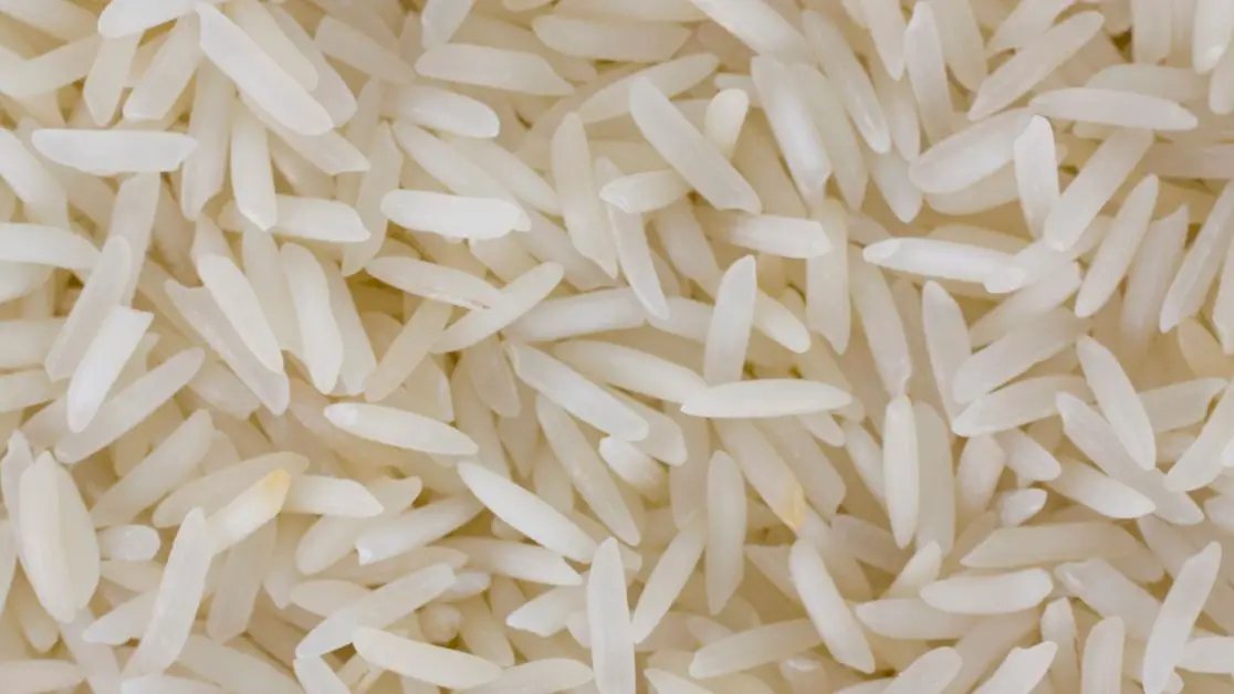 how to market rice in the Philippines