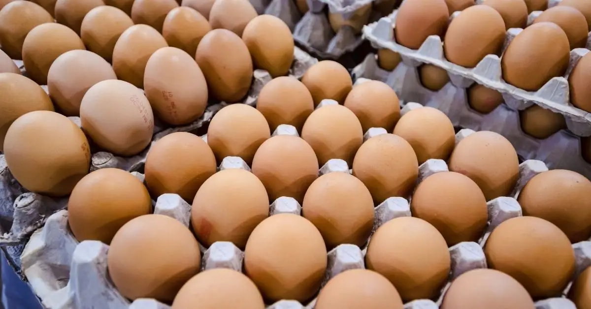 How To Start An Egg Business In The Philippines