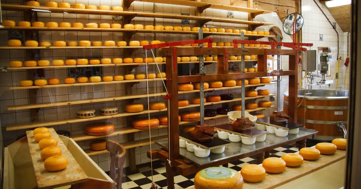 Legal Requirements For Bakery Business In The Philippines
